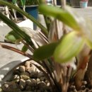 송운농장 이미지