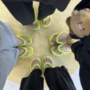 하얀바베르 이미지