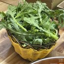 내동 칼국수 | [대전/내동] 가영얼큰이칼국수 :: 대전칼국수맛집 | n번째 또간집