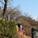 북서울꿈의숲 숲체험 후기 - 동고비의 생태학교 추천
