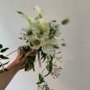 w16. 부산 웨딩스냅, 아오라 스튜디오 실내&amp;야외 촬영 후기 ahora (초이필름)