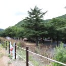 운문사계절캠핑장 이미지