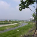 진건중학교 Daum카페