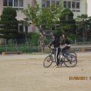 괘법초등학교 이미지