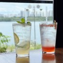 고산로126번길 | [다산 카페 추천] 뷰맛집 트윈트리 내돈내산 솔직 후기🌸 | 한강뷰 감성카페