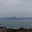 호권 Daum카페