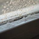 장안1동주민센터 | [서울 동대문구 장안동 입주청소 후기]도배풀 냄새·습기·분진까지 한 번에 사라진 집 — 장안동에서...