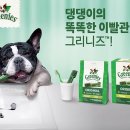 건 덴탈 이미지