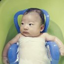 베이비쿤