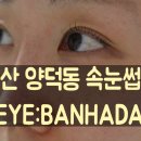 삼호로L | 뷰러 필요없는 일상: 마산 양덕동 아이반하다 눈썹&amp;속눈썹 속눈썹펌 솔직후기