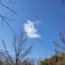 개웅산~천왕산~푸른수목원~와룡산~국기봉~매봉산~텃골문학공원 이미지
