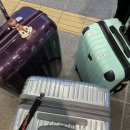 쓰다 만 24년 5월의 나트랑 출발부터 도착까지,, (+나트랑 얼리모닝투어)