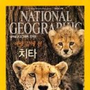 내셔널지오그래픽