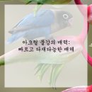 기초유화 이미지