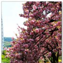 월곡역사공원 이미지