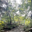 제112차 정기산행 및 정기총회(송년회) 이미지