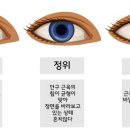 달빛안경원 이미지