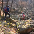 청계사 하부 이미지