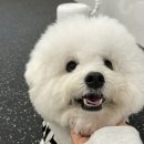 멍토피아 이미지