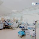 제주대학교병원 이미지