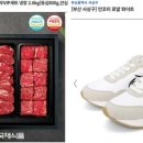 고향의신발 이미지