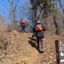 머르메가는길 이미지