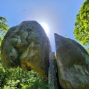 2024-주217 이미지