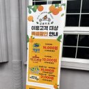 서귀포시 제주중문여행 코스 추천 감귤카트, 하루만에 런닝맨까지 뽀갠 역대급 중문관광단지놀거리