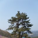 가덕도휴게소 이미지