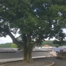 부흥 마을회관 이미지