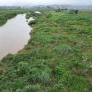 곰솔 경로당 이미지