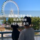 케렌시아 | 속초 애견동반 숙소 내돈내산 속초아이뷰 속초해수욕장 1분컷 케렌시아 B동
