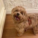 모먼트 당구장 이미지