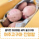 큼직한 프리미엄 세척 꿀고구마 - 여주고구마 진영팜 (feat. 군고구마, 고구마라떼)