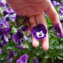 그리다B 이미지