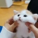 바디밸런스 이미지