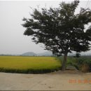 가월리배수펌프장 이미지