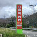 신비의 짬뽕포차