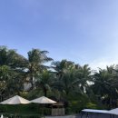 Serenity a | [나트랑] 또 가고싶은 퓨전리조트 ..⸝⸝ʚ̴̶̷̆ˬʚ̴̶̷̆⸝⸝❤︎ 다녀온 후기