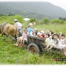 즐거운 소풍 이미지