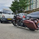 꼬끼오-청양 이미지