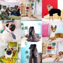 나라한농장 이미지