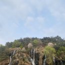 위아더유도관 | [벚꽃 명소 2탄] 서울 홍제천 인공폭포 데이트: 줄 서서 찍는 벚꽃 스팟! 🌸 사진에 진심인 부부의...