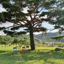 앞동산목장 이미지