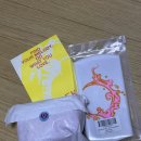 S zone (에스존) | 로레카 수영복 선라이트 존 M 사이즈 착용 후기 THE SUNLIGHT ZONE