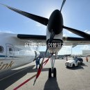 링크 link | 케냐 여행] 나이로비에서 잔지바르 이동 / 사파리 링크(Safari Link) 탑승 후기/ 체크인시 Document type?