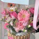 고운동(마음로) 이미지