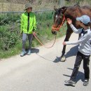 속사초등학교 이미지