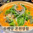부산 온천장 맛집 순대가 존맛인 수백당