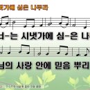 시냇가에심은나무